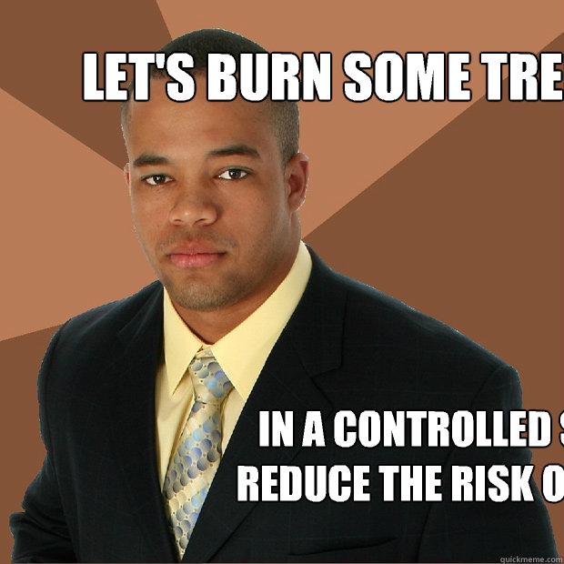 Let's burn some trees In a controlled setting to reduce the risk of wildfires  Successful Black Man