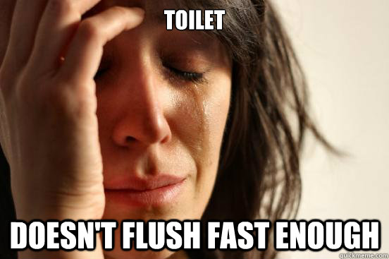Toilet Doesn't flush fast enough  First World Problems