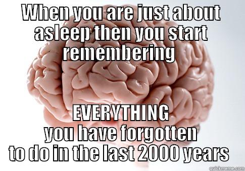 WHEN YOU ARE JUST ABOUT ASLEEP THEN YOU START REMEMBERING  EVERYTHING YOU HAVE FORGOTTEN TO DO IN THE LAST 2000 YEARS  Scumbag Brain