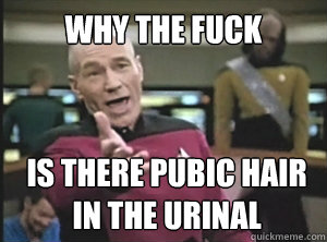 WHY THE FUCK is there pubic hair in the urinal  Annoyed Picard