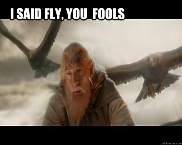 I said fly, you  fools - I said fly, you  fools  Gandalf the Gray