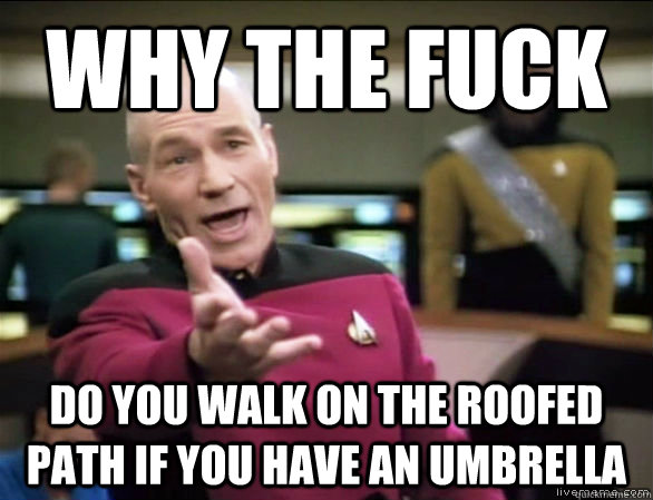 why the fuck Do you walk on the roofed path if you have an umbrella  Annoyed Picard HD