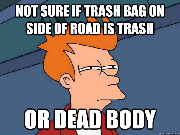 Not sure if trash bag on side of road is trash or dead body - Not sure if trash bag on side of road is trash or dead body  Futurama Fry