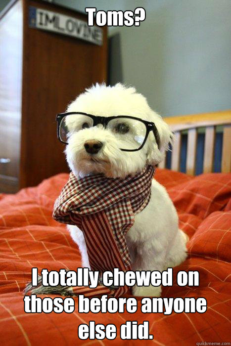 Toms? I totally chewed on those before anyone else did. - Toms? I totally chewed on those before anyone else did.  Hipster Dog
