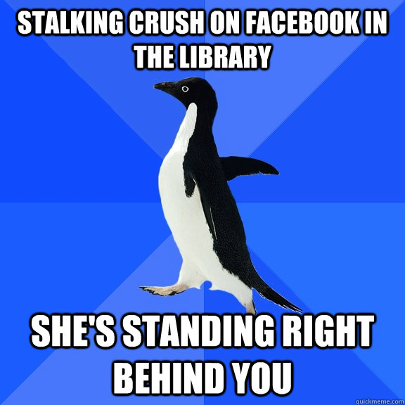 Stalking Crush on Facebook in the library  she's standing right behind you - Stalking Crush on Facebook in the library  she's standing right behind you  Socially Awkward Penguin