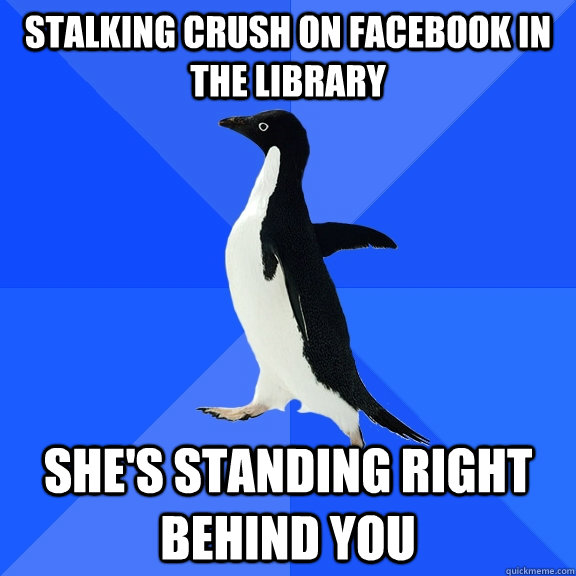 Stalking Crush on Facebook in the library  she's standing right behind you  Socially Awkward Penguin