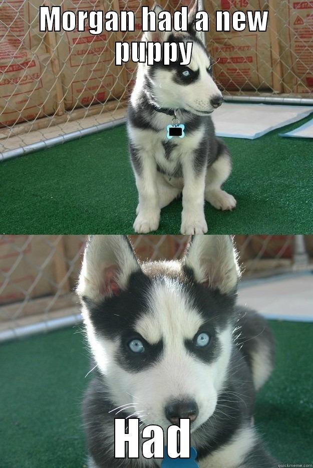 MORGAN HAD A NEW PUPPY HAD Insanity puppy