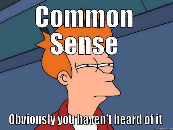 Get a Clue - COMMON SENSE OBVIOUSLY YOU HAVEN'T HEARD OF IT Futurama Fry