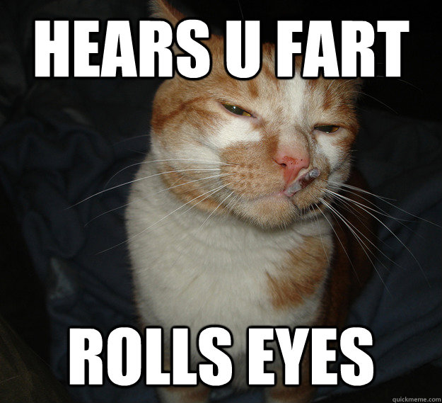 hears u fart rolls eyes  Cool Cat Craig