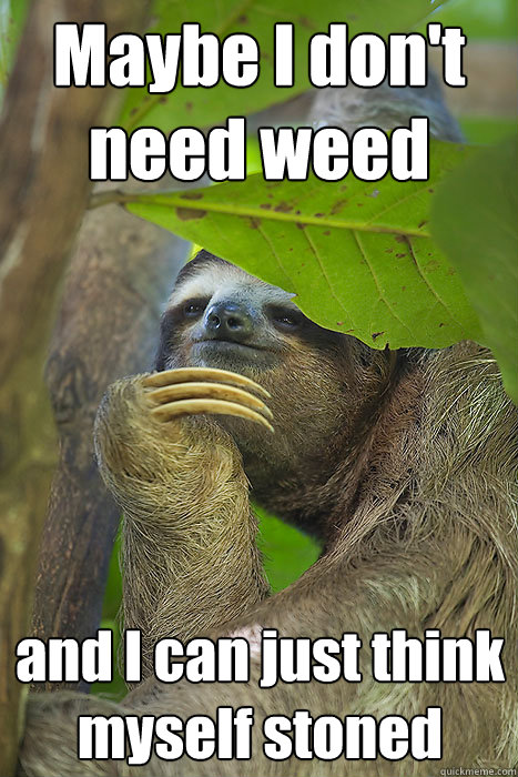 Maybe I don't need weed and I can just think myself stoned - Maybe I don't need weed and I can just think myself stoned  Philosloth