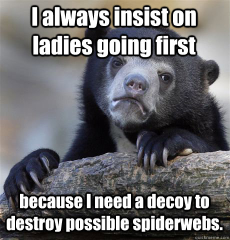 I always insist on ladies going first because I need a decoy to destroy possible spiderwebs. - I always insist on ladies going first because I need a decoy to destroy possible spiderwebs.  Confession Bear