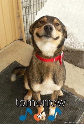  TOMORROW  Good Dog Greg