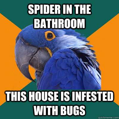 Spider in the bathroom this house is infested with bugs  Paranoid Parrot