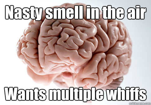 Nasty smell in the air Wants multiple whiffs   Scumbag Brain