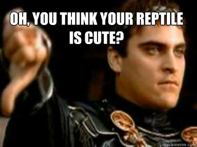 Oh, you think your reptile is cute?   Downvoting Roman
