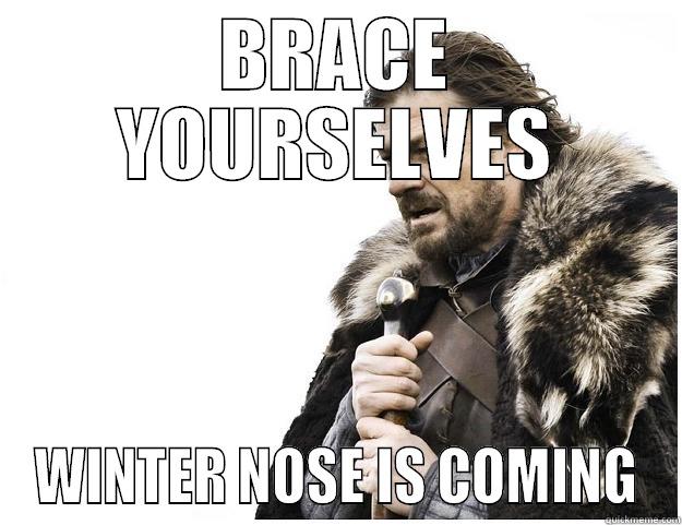 BRACE YOURSELVES WINTER NOSE IS COMING Imminent Ned
