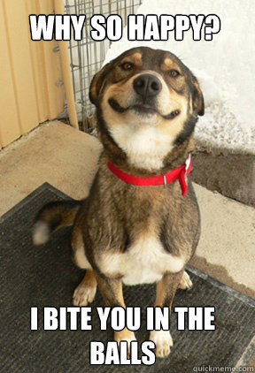 why so happy? i bite you in the balls   Good Dog Greg