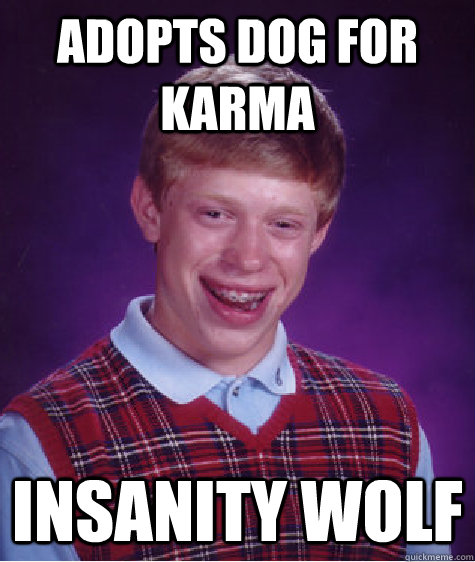 adopts dog for karma insanity wolf  Bad Luck Brian