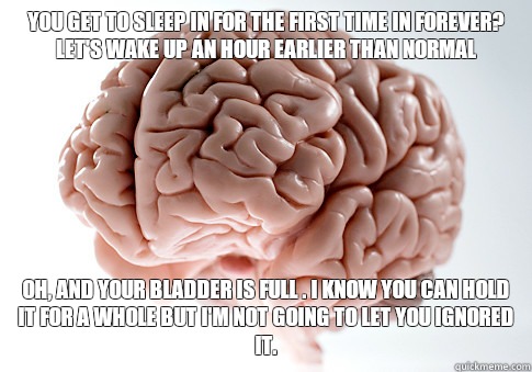 You get to sleep in for the first time in forever? Let's wake up an hour earlier than normal Oh, and your bladder is full . I know you can hold it for a whole but I'm not going to let you ignored it.   ScumbagBrain