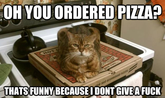 Oh you ordered pizza? Thats funny because I dont give a fuck - Oh you ordered pizza? Thats funny because I dont give a fuck  sittin cat