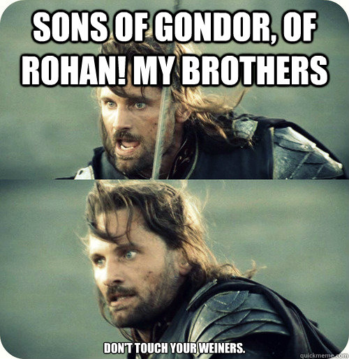 Sons of gondor, of rohan! my brothers don't touch your weiners.  