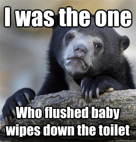 I was the one Who flushed baby wipes down the toilet - I was the one Who flushed baby wipes down the toilet  Confession Bear