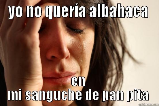 YO NO QUERÍA ALBAHACA EN MI SANGUCHE DE PAN PITA First World Problems