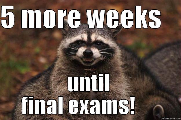 Finals: Yay! - 5 MORE WEEKS     UNTIL FINAL EXAMS!      Evil Plotting Raccoon