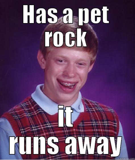 HAS A PET ROCK IT RUNS AWAY Bad Luck Brian
