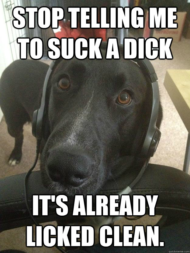 Stop telling me to suck a dick It's already licked clean.  Gamer Dog