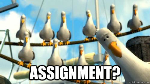  Assignment?      Finding Nemo Seagulls
