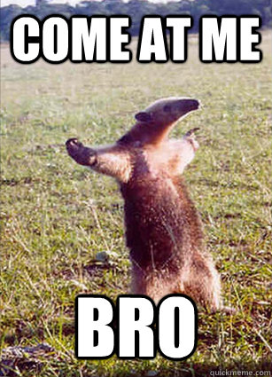 Come at me bro - Come at me bro  Defiace Anteater