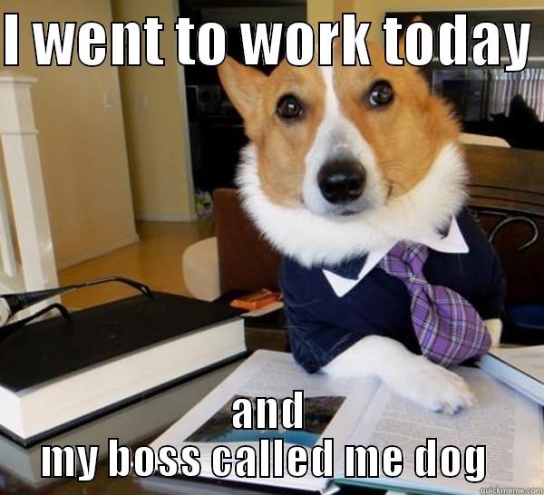 I WENT TO WORK TODAY  AND MY BOSS CALLED ME DOG  Lawyer Dog