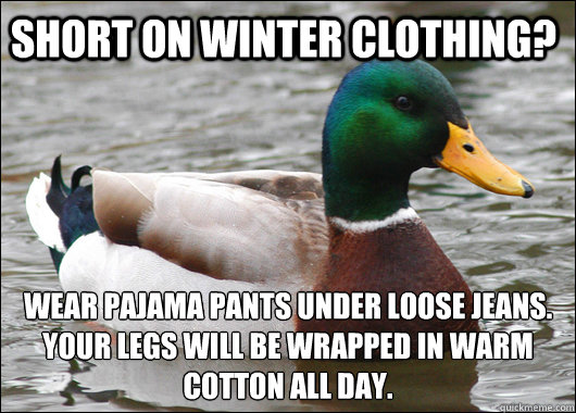 Short on winter clothing? Wear pajama pants under loose jeans.  Your legs will be wrapped in warm cotton all day.  Actual Advice Mallard