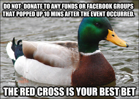 DO NOT: Donate to any funds or Facebook groups that popped up 10 mins after the event occurred. The Red Cross is your best bet - DO NOT: Donate to any funds or Facebook groups that popped up 10 mins after the event occurred. The Red Cross is your best bet  Actual Advice Mallard