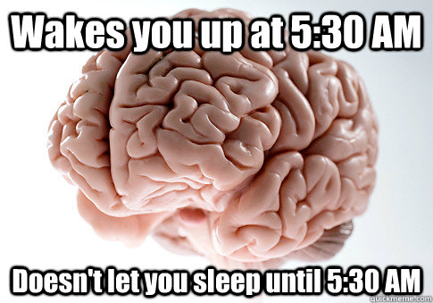 Wakes you up at 5:30 AM Doesn't let you sleep until 5:30 AM  Scumbag Brain