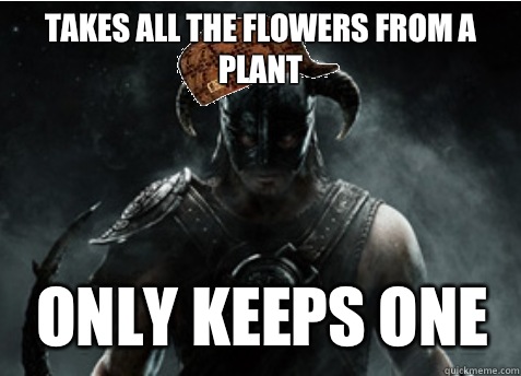 Takes all the flowers from a plant Only keeps one  Scumbag Skyrim