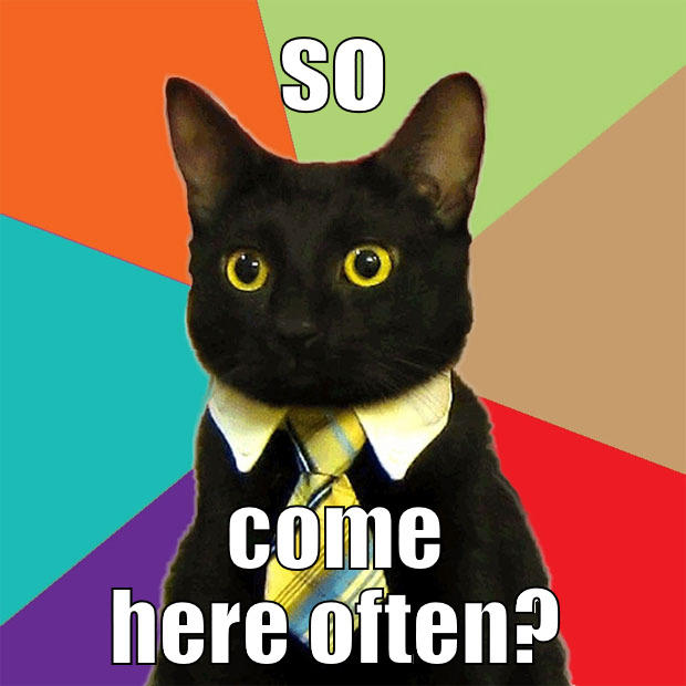 SO COME HERE OFTEN? Business Cat
