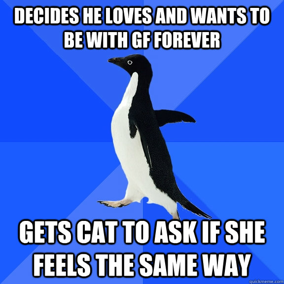 Decides he loves and wants to be with gf forever Gets cat to ask if she feels the same way - Decides he loves and wants to be with gf forever Gets cat to ask if she feels the same way  Socially Awkward Penguin