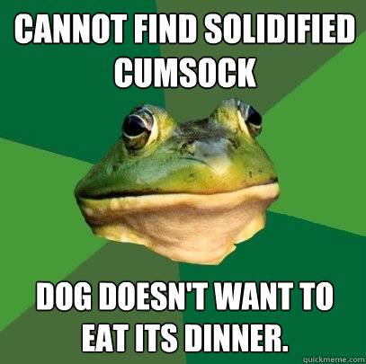 Cannot find solidified cumsock dog doesn't want to eat its dinner.  Foul Bachelor Frog