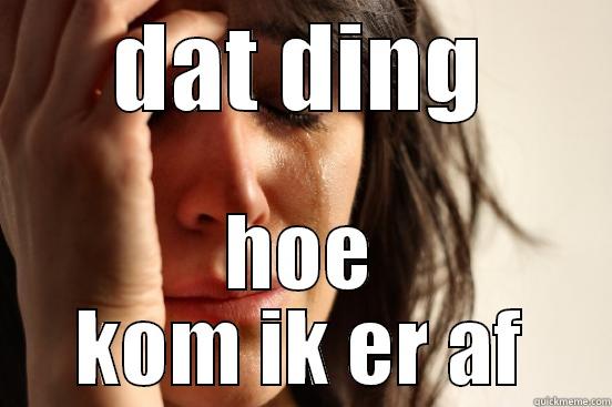 DAT DING HOE KOM IK ER AF First World Problems