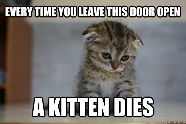 Every time you leave this door open a kitten dies - Every time you leave this door open a kitten dies  Sad Kitten