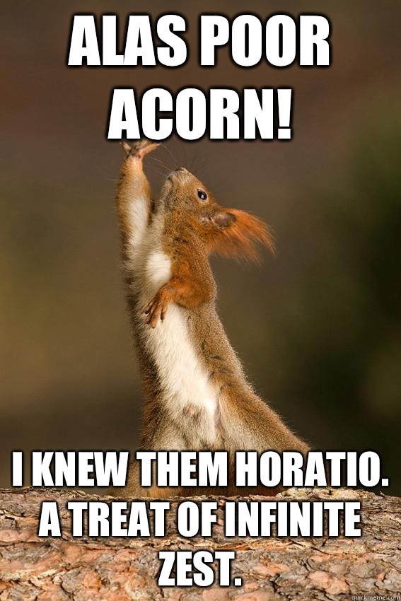 Alas poor Acorn! I knew them Horatio. A treat of infinite zest.  Shakespeare Squirrel