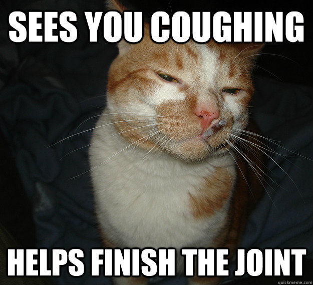 sees you coughing helps finish the joint  Cool Cat Craig