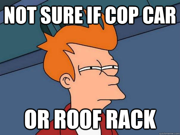 Not sure if cop car or roof rack  Futurama Fry