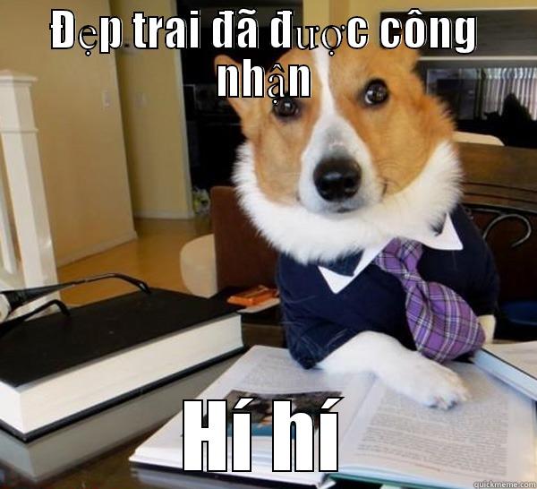 ĐẸP TRAI ĐÃ ĐƯỢC CÔNG NHẬN HÍ HÍ Lawyer Dog