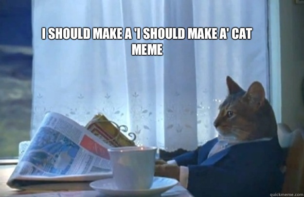 I should make a 'I should make a' cat meme  Sophisticated Cat