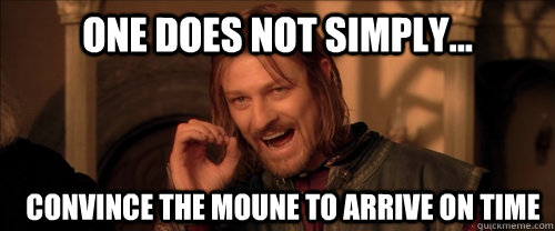 One does not simply... Convince the Moune to arrive on time  Mordor