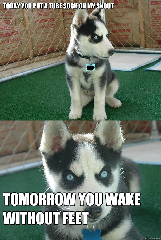 today you put a tube sock on my snout tomorrow you wake without feet  Insanity puppy