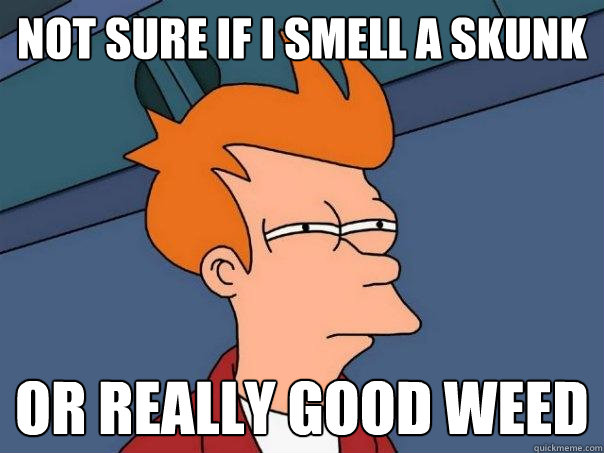 Not sure if i smell a skunk or really good weed  Futurama Fry